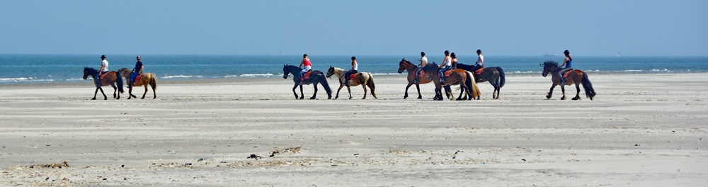 De Boerkerij - strandrit met paarden op het strand van Ameland