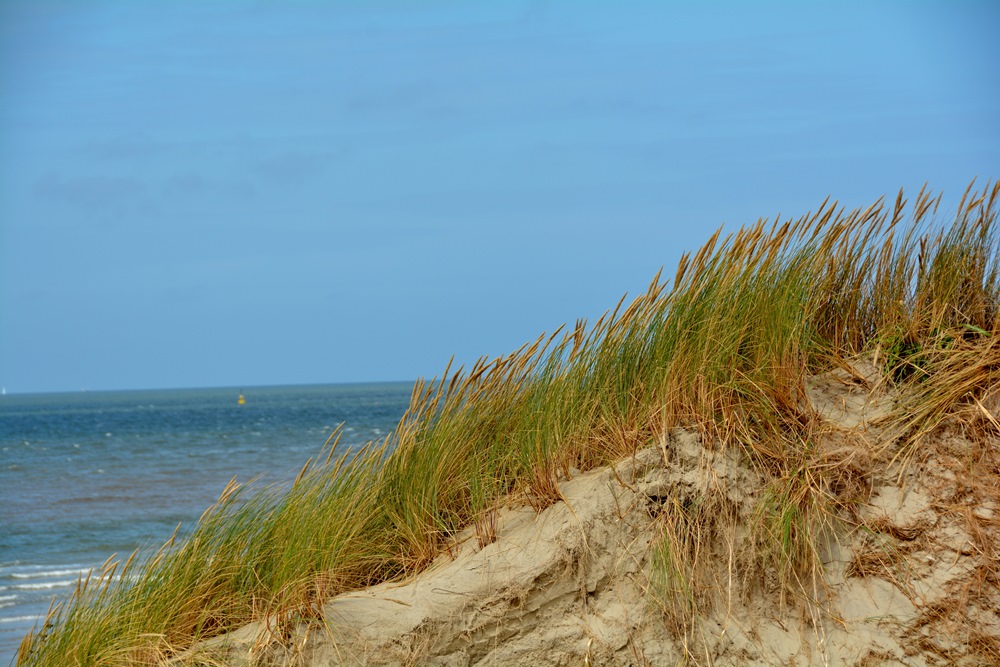 Ameland duinen en zee